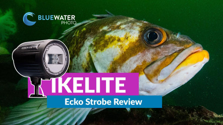 Ikelite Ecko Strobe Review