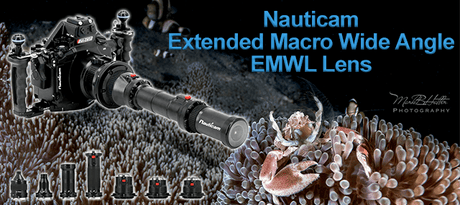 Nauticam EMWL (Extended Macro Wide Angle Lens) Review