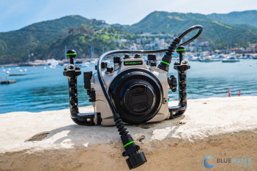 A Hydrophone for Underwater Video
