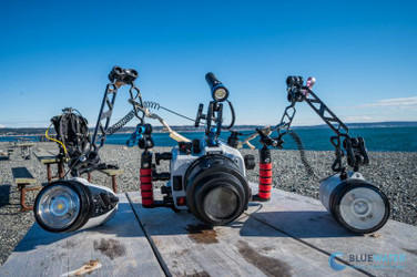 The Top Sony A7V Underwater Settings