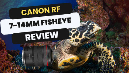 Canon RF 7-14mm f/2.8-3.5L Fisheye Lens Review