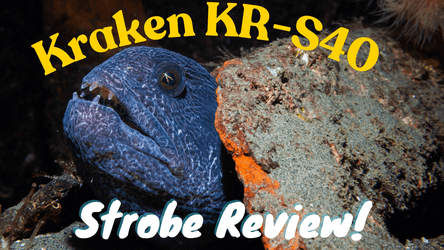 Kraken KR-S40 Underwater Strobe Review