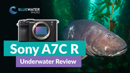 Sony A7C R Underwater Review