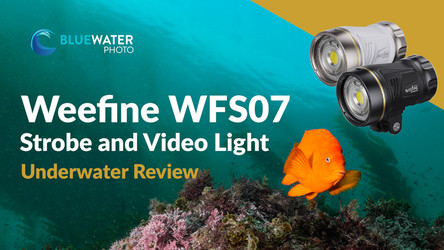 Weefine WFS07 Underwater Strobe and Video Light Review