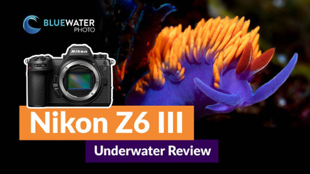 Nikon Z6III Underwater Review