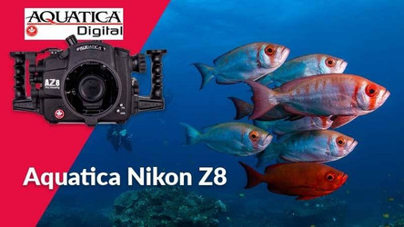 Hands-On Review of the Aquatica Nikon Z8 Housing