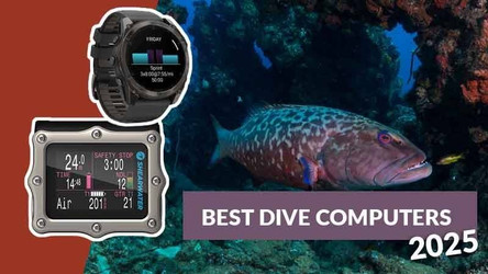 The Best Dive Computer: Our Top Picks for 2025