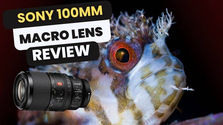 Sony 100mm Macro Lens Review