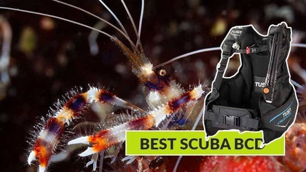 Best Scuba BCD for 2026