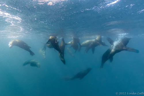  Explore Baja South To North Adventure October 2026 