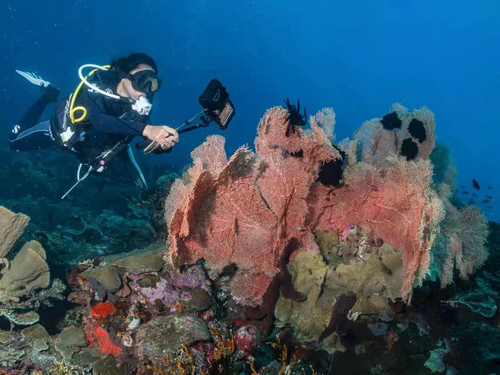 Divevolk SeaTouch 4 Max Plus Selfie Kit