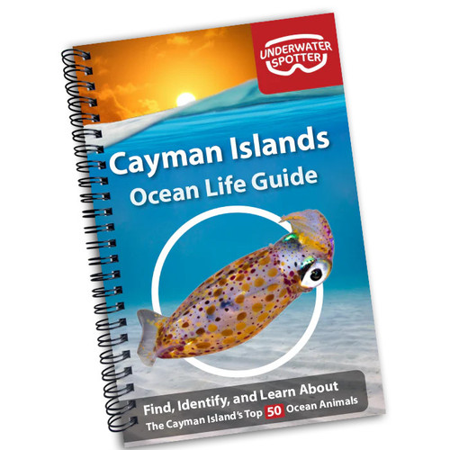 Underwater Spotters Underwater Spotter's Ocean Life Guides 