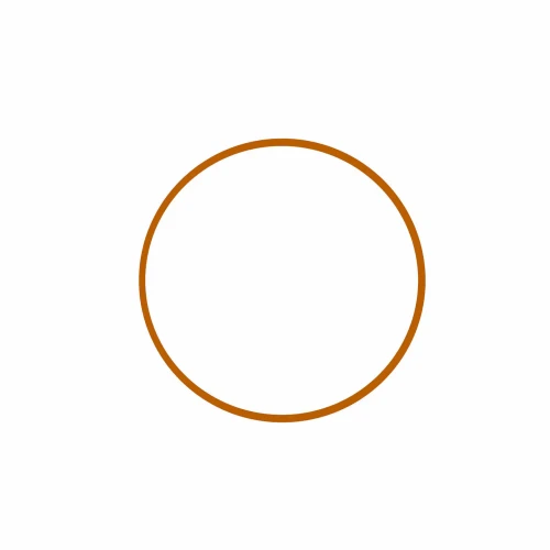  Ikelite Focus Lock Ring 