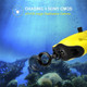  Chasing Gladius Mini S Underwater Drone 