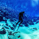 Fourth Element RF2 Freediving Hooded Jacket - Men's