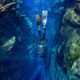 Fourth Element RF2 Freediving Hooded Jacket - Women's
