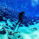 Fourth Element RF2 Freediving Leggings - Men's