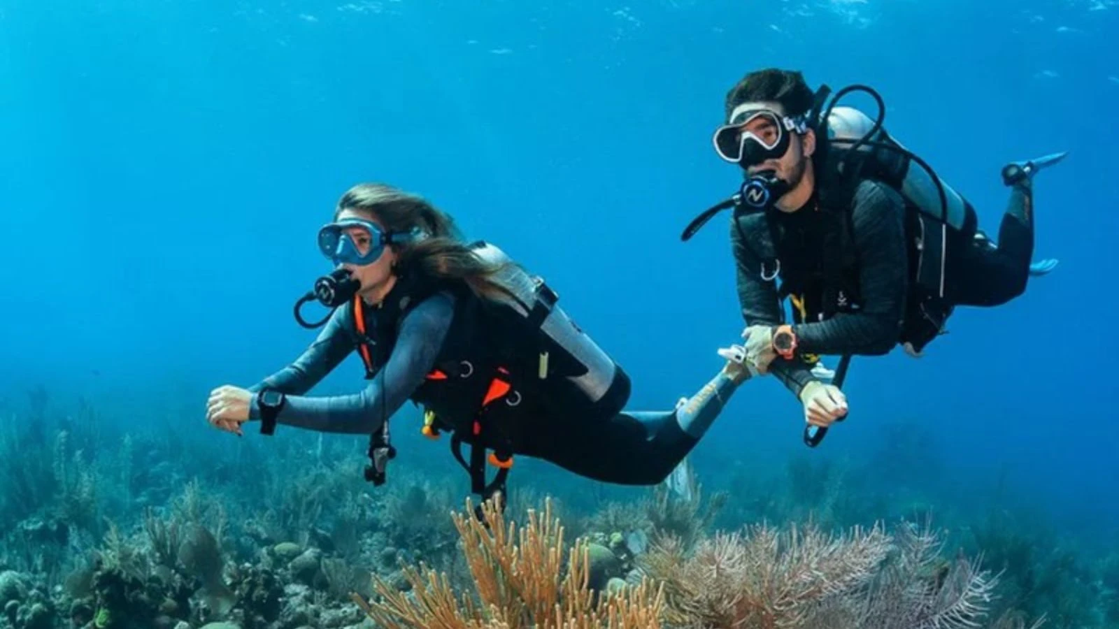 Apeks VX2 Dive Mask - durable stainless-steel framed mask with 13% wider field of view and swappable Pure Clear lenses