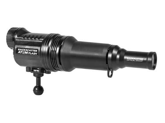 Underwater macro subject lit by a compact strobe