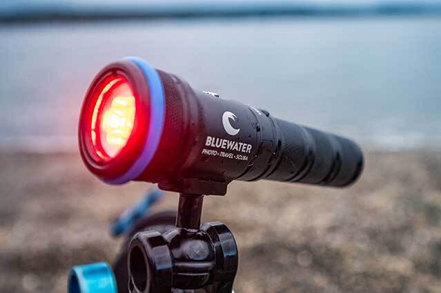 Bluewater Photo 3000 Lumen Video Light compact size next to hand