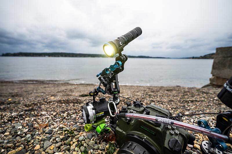 Macro reef subject illuminated by video light