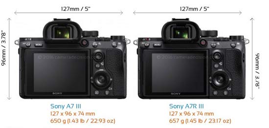 Sony A7R iii vs A7 III