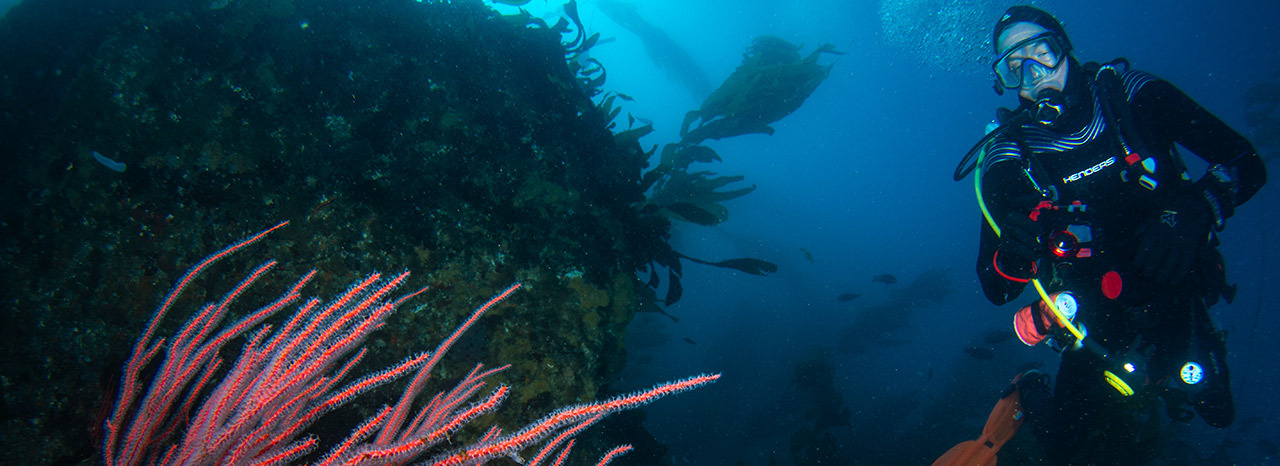 Cressi Da Vinci Dive Computer with full color display for scuba diving