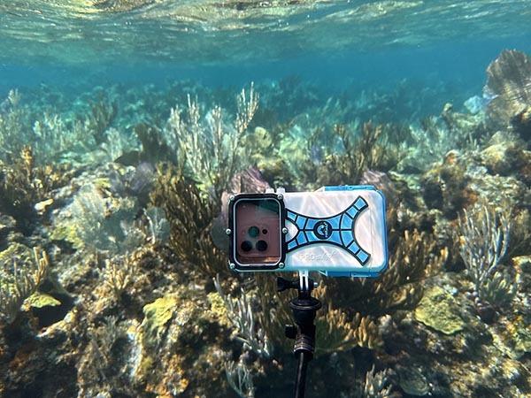 Universal-fit cradle supports multiple iPhone sizes