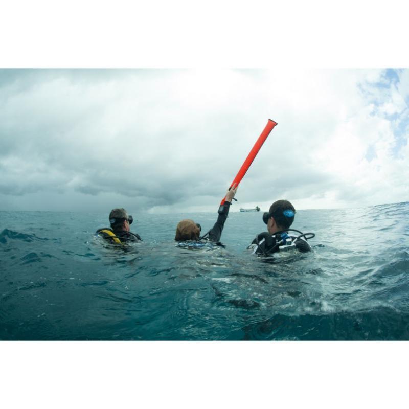 Halcyon Diver Alert Buoy Feature Image