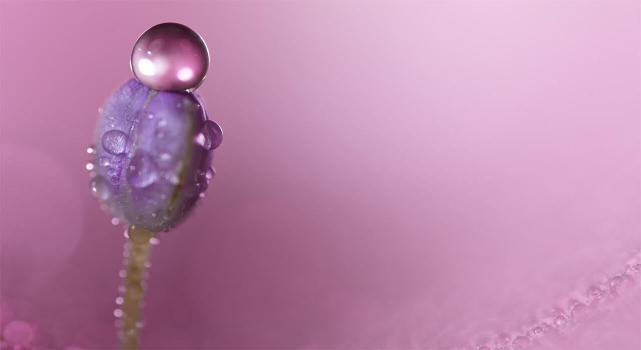 Sony FE 2x Teleconverter mounted on telephoto lens