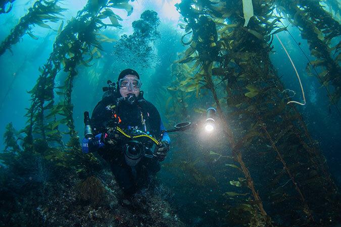 OLED status display and USB-C charging on the battery pack