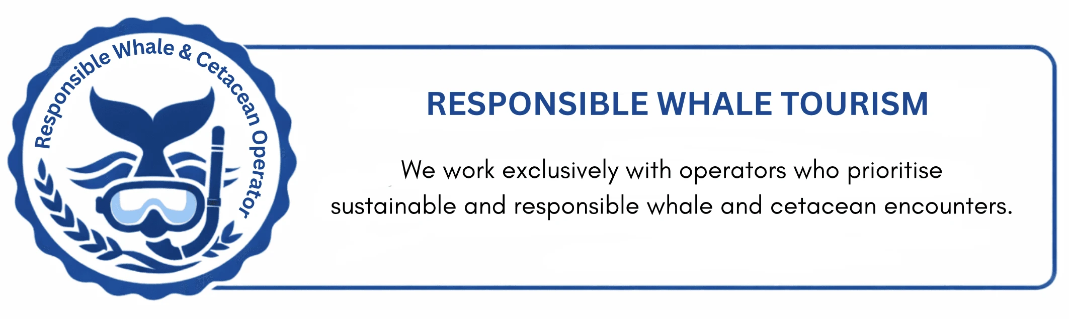 Responsible Whale Tourism