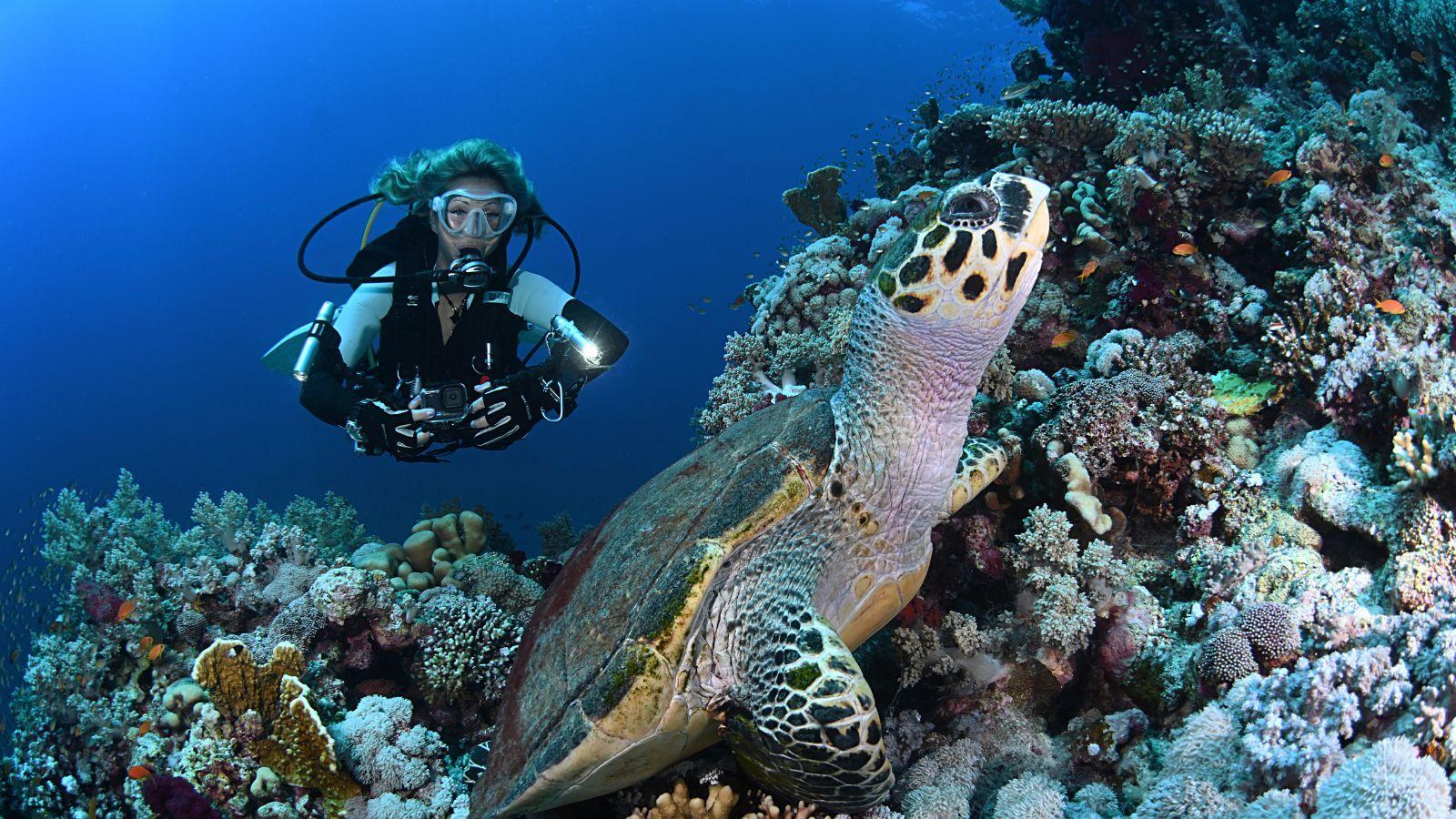 Mares Underwater Writing Slate in use during a scuba dive