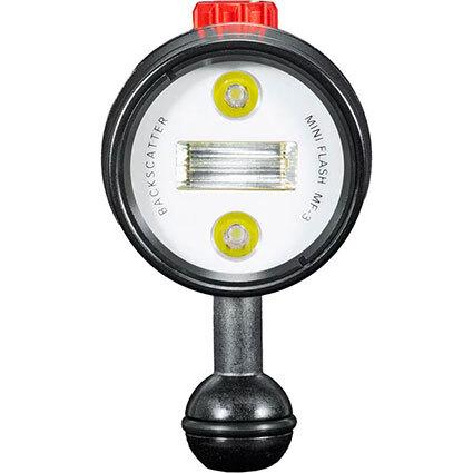 Mini Flash 3 built-in LED focus light illuminating a macro subject underwater