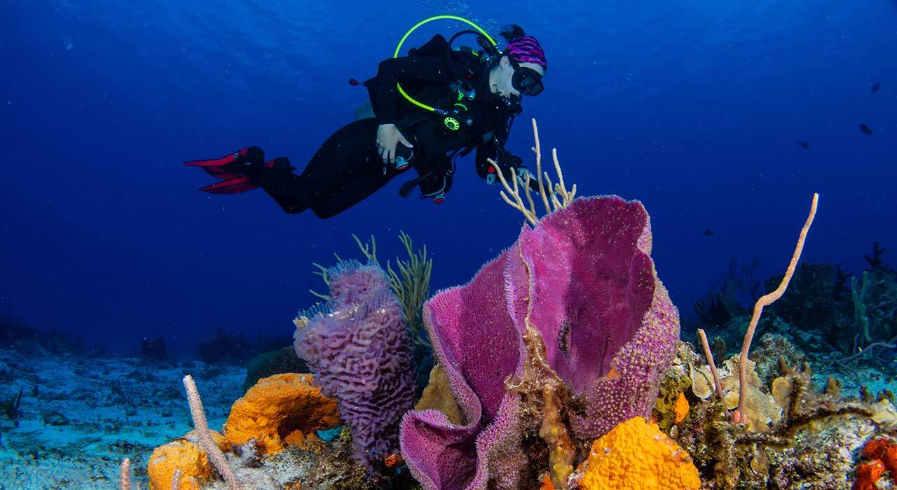 Suunto Nautic S dive computer on wrist with underwater background