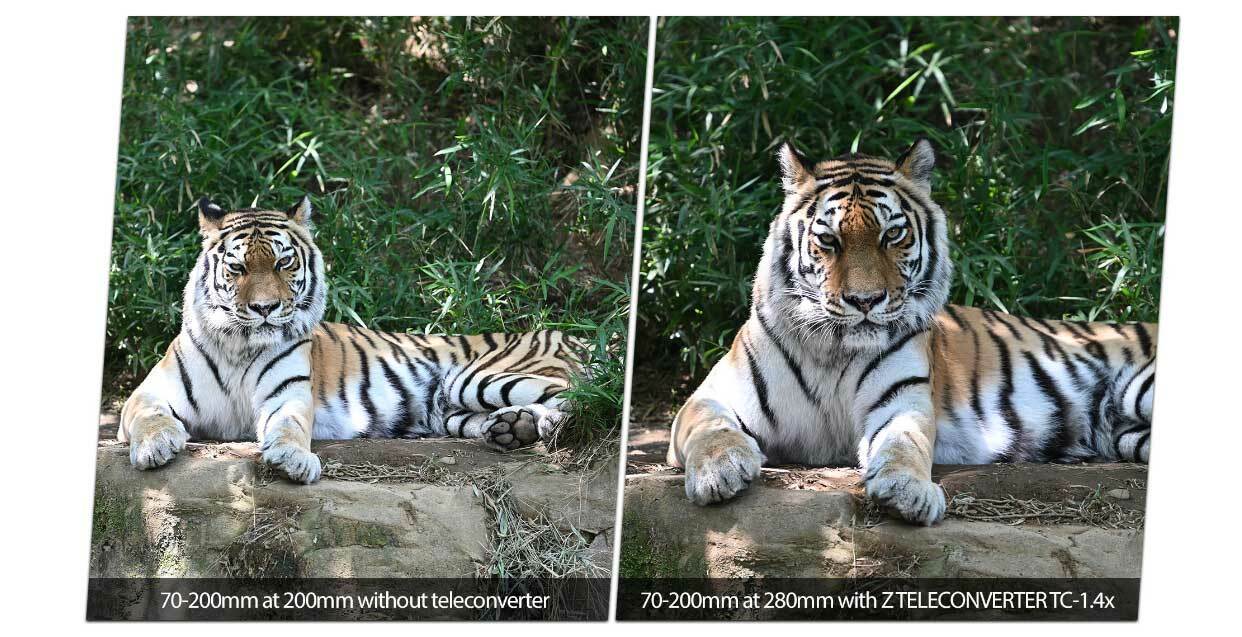 Nikon Z 1.4x Teleconverter