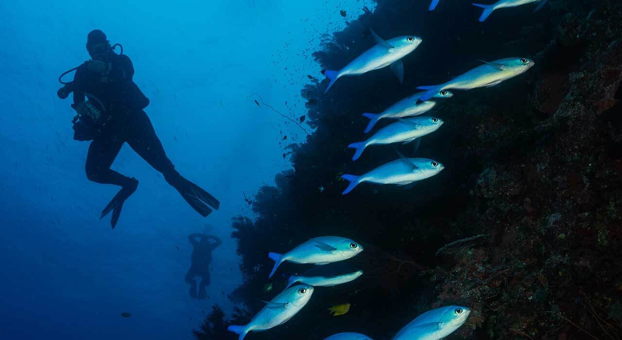 OrcaTorch Orca7 3000 Lumen Dive Light handheld torch front view