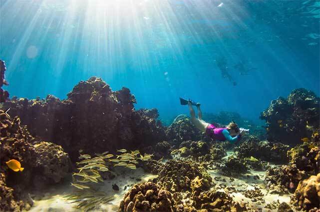 Interchangeable ports and rings for multiple lenses