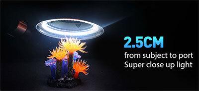 Weefine Ring Light 3000 CCW