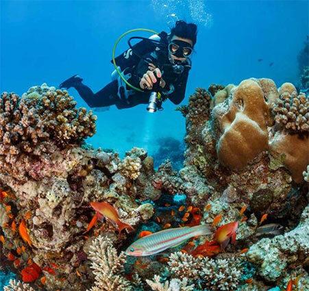 Tight spot beam from the Sea Dragon Mini 1600s lighting a subject