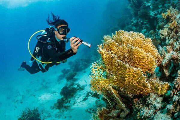 Sea Dragon Mini 1600s side switch and rugged aluminum body