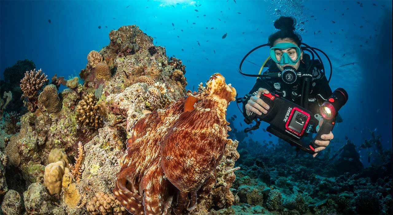 SeaLife SportDiver underwater smartphone housing hero image