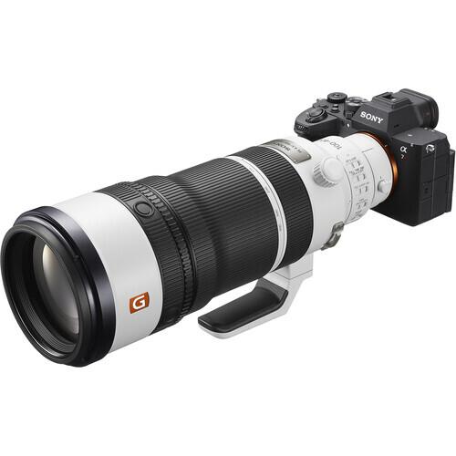 Sony FE 100-400mm f/4.5 GM OSS Lens for Wildlife Photography