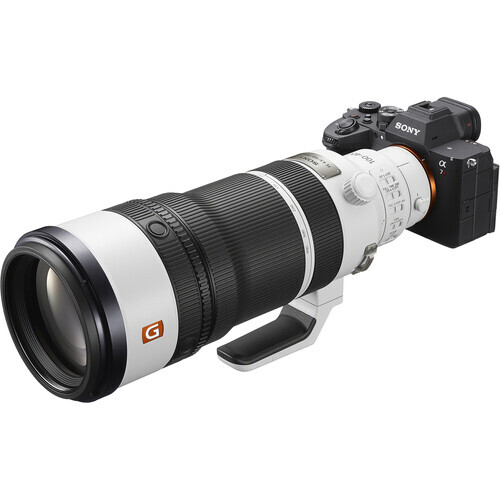 Sony FE 100-400mm f/4.5 GM OSS lens tracking fast wildlife and action subjects