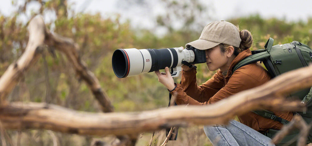 Sony FE 100-400mm f/4.5 GM OSS telephoto zoom lens for wildlife photography