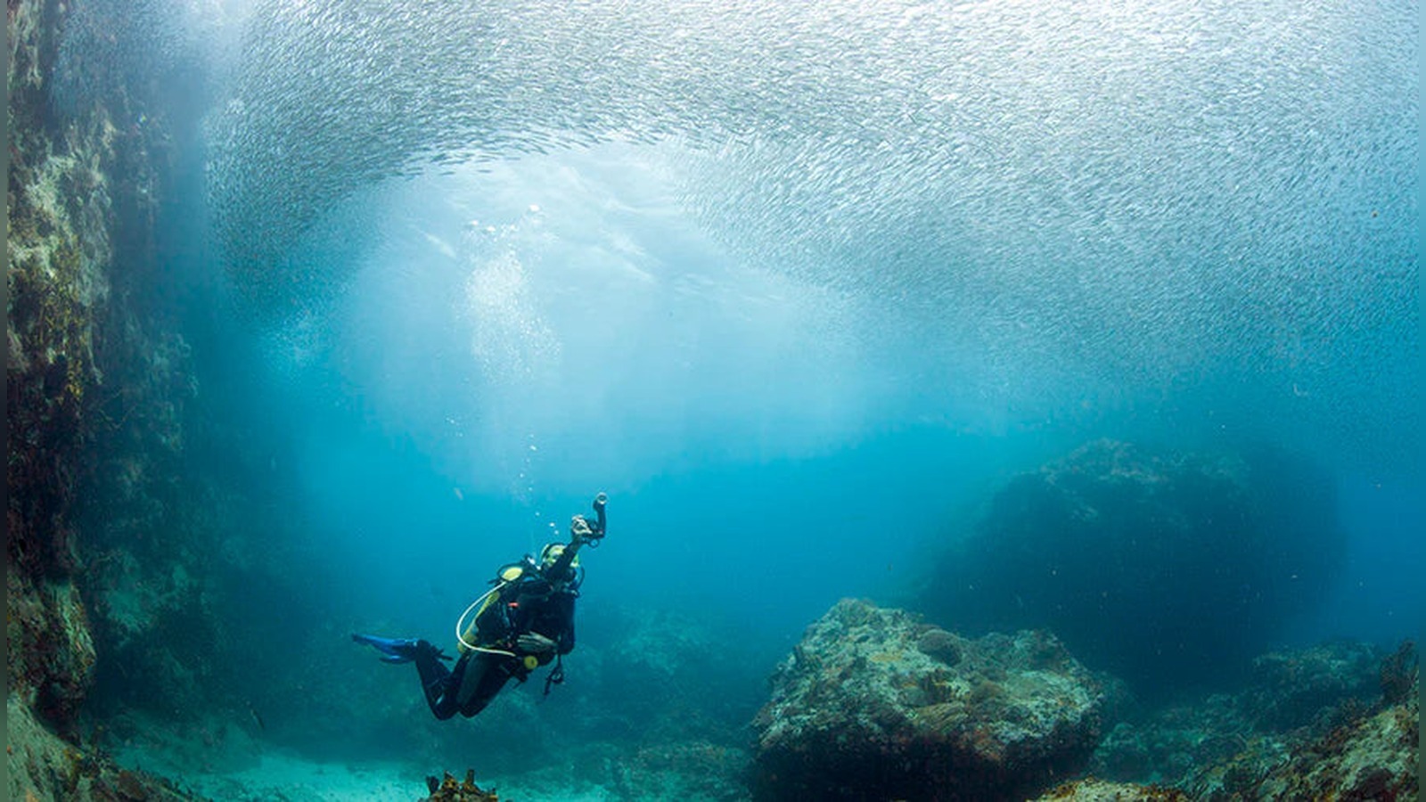 Suunto EON Steel Black dive computer, full-featured wrist computer for technical and recreational divers