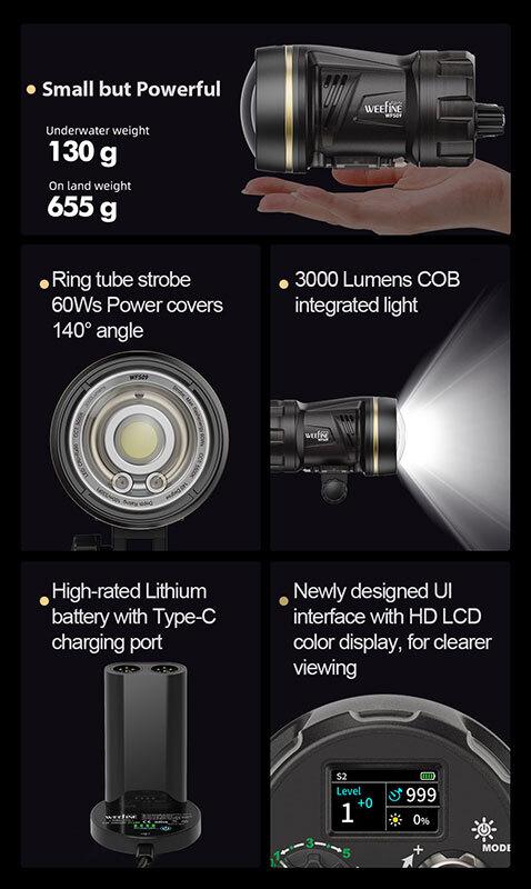 Macro subject lit by Weefine WFS09 ring strobe