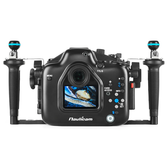 Canon R7 Underwater Review - Bluewater Photo