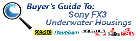 The Sony FX3 Underwater Review & Housings - Underwater Photography Guide