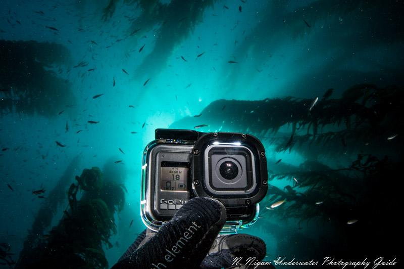 GoPro Hero 8 Underwater Video Bluewater Photo